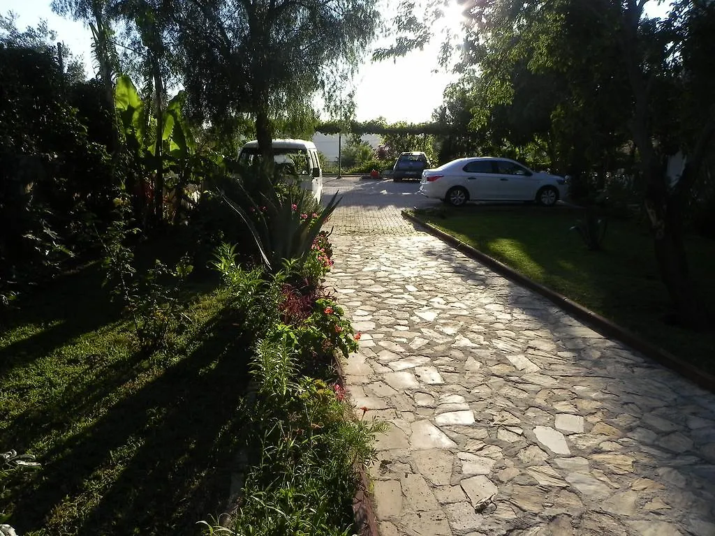 Star Hotel Oludeniz Turkey